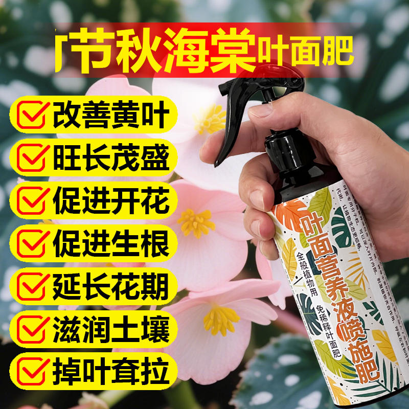 竹节秋海棠专用肥料盆栽绿植物营养液海棠水肥料家庭喷施肥开花肥