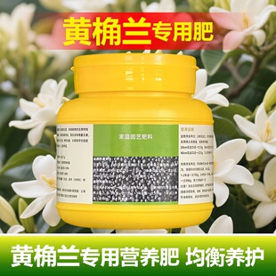 黄桷兰专用肥料树苗白兰花肥营养液发黄焦黑斑尖枯萎脱落叶面肥料