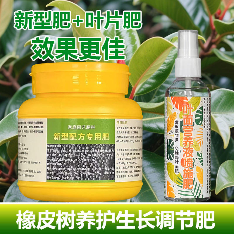 橡皮树专用肥料促分枝发侧芽营养液黑金刚橡皮树盆栽长新叶喷施肥
