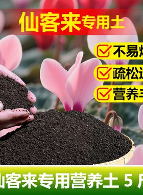 仙客来专用土料养殖肥营养土叶子发黄变软蔫倒伏叶片卷曲种植家用
