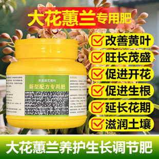 大花蕙兰专用肥料盆栽兰花营养液叶子发黄干枯尖枯烂根养护花肥料