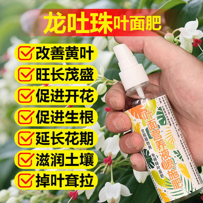 龙吐珠专用肥料养殖肥营养液叶子发黄掉叶掉光耷拉芽干尖叶面肥料