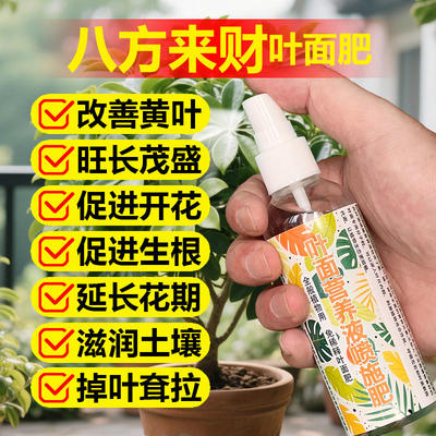 八方来财专用肥料盆栽鸭掌木营养液叶子枯黄掉叶叶斑发黑打蔫耷拉