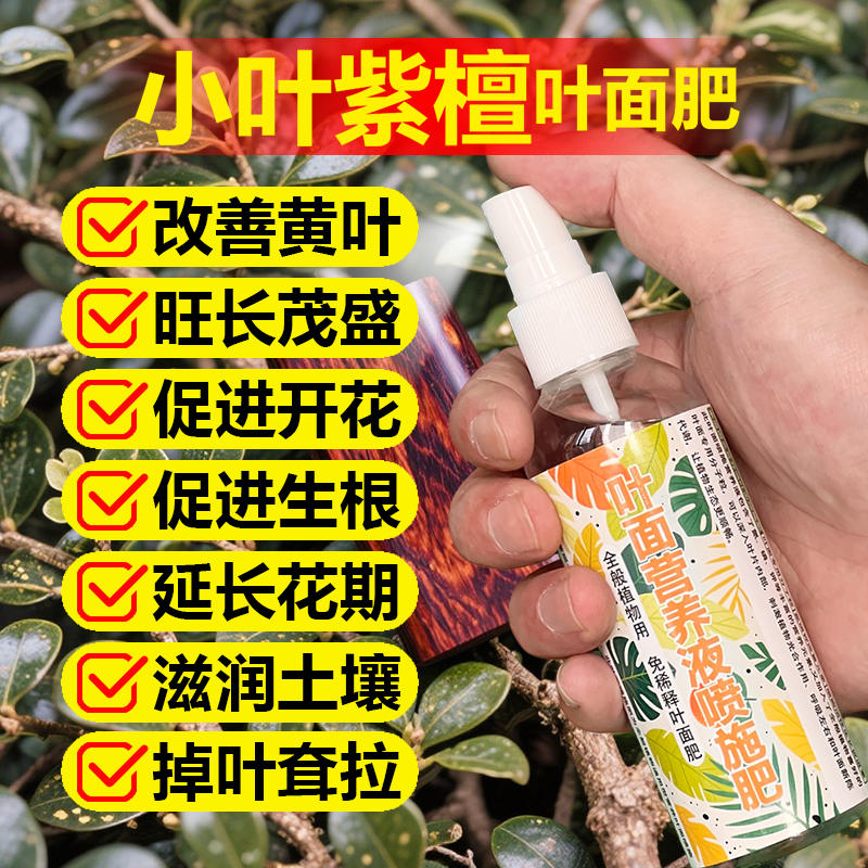 小叶紫檀专用肥料养护盆栽盆景树苗紫檀树黑骨茶树营养液叶面肥料