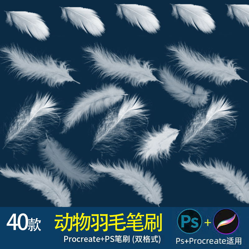 羽毛笔刷ps+procreate笔刷动物仙美梦幻飘落白色羽毛羽翼特效素材