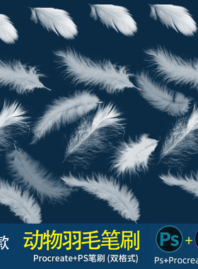 羽毛笔刷ps+procreate笔刷动物仙美梦幻飘落白色羽毛羽翼特效素材