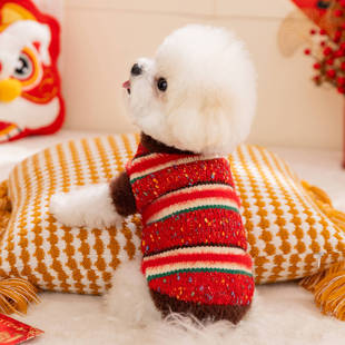 宠物服饰彩色点点条纹毛衣小型犬秋冬季 保暖两脚泰迪比熊狗狗衣服