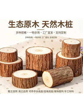 新鲜小木桩盲盒底座摆件原木墩树桩树干拍摄道具手工diy园艺装饰