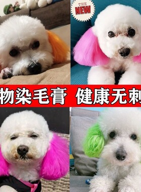 宠物狗染色剂白色狗狗染毛膏去黄去泪痕宠物店美容色宠物专用染色