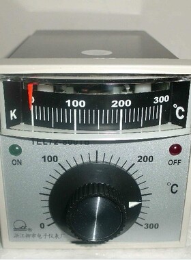原装电烤箱温度控制仪表烤箱温控器烤炉控温仪柳市仪表TEL728001B
