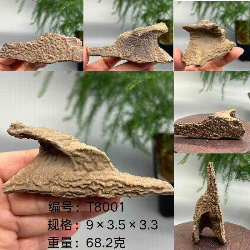 新疆戈壁滩皱纹泥天然奇石观赏原石真石头花盆装饰鱼缸摆件小造景