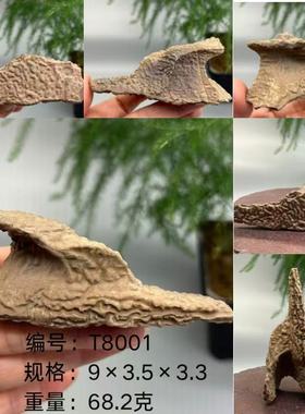 新疆戈壁滩天然奇石花盆鱼缸造景