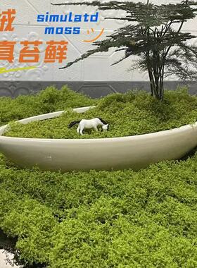 仿真苔藓草皮透气透水盆景铺面