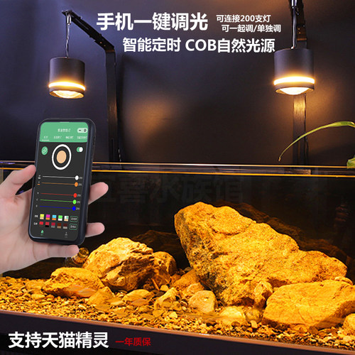 索迪益科达筒灯南美风格原生溪流