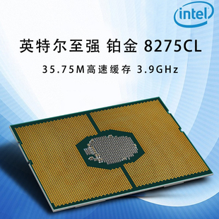 铂金8275CL 3.9G主频 CPU 3.0G 240W 24核48线程 全新英特尔Intel