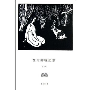 在你的晚脸前 王家新 商务印书馆