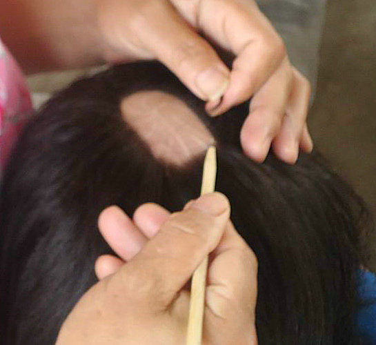 Extension mèches - Ref 219918 Image 1