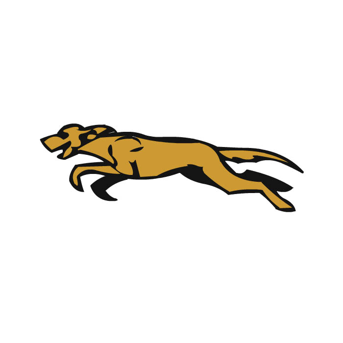 侧面奔跑的狗四足动物运动规律跑步动作flash动画源文件