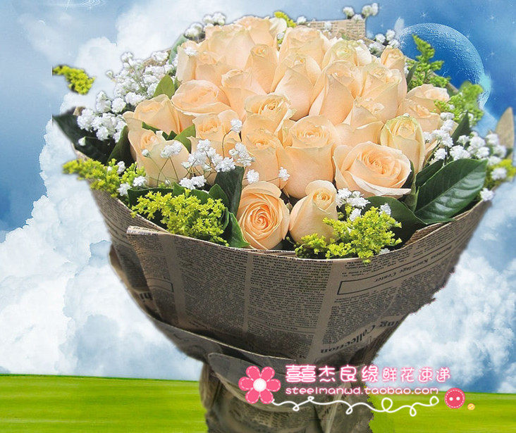 大连33朵瓦房店香槟玫瑰送女友