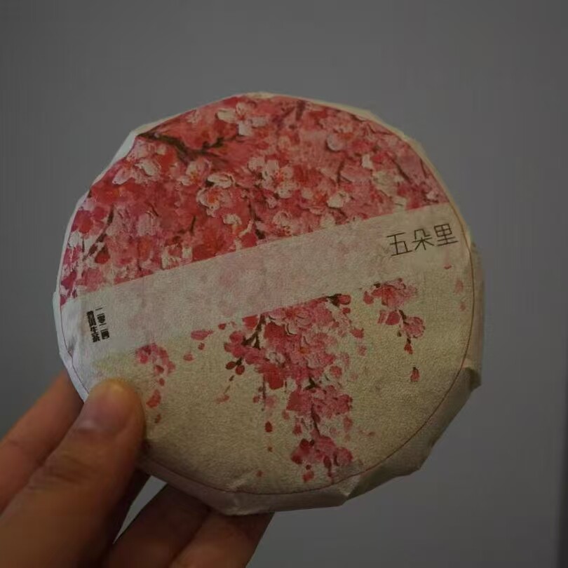 上新/五朵里/2024年/普洱生茶/盒装，饼装拍五发六/超香图片