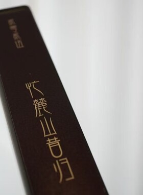 上新/忙麓山昔归/2025年/普洱生茶/6克龙珠/拍5发6