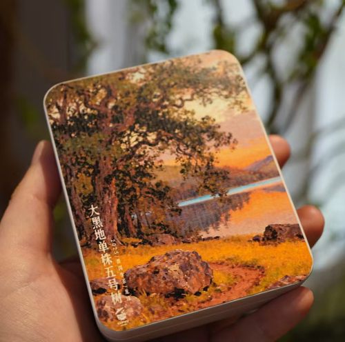 上新/普洱生茶/2025年/大黑地五号单株/6克*6颗/这个香