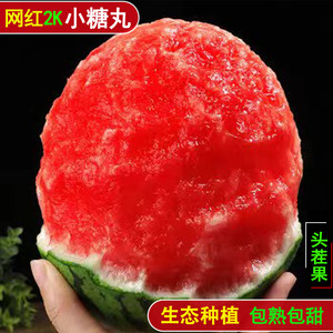 陕西吊篮小西瓜生态种植产地直供
