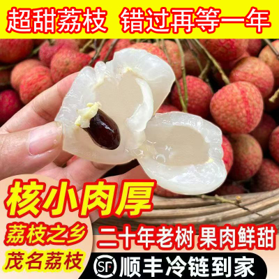 2025茂名高州荔枝正棕老树时令水果荔枝新鲜水果当季水果现摘发货