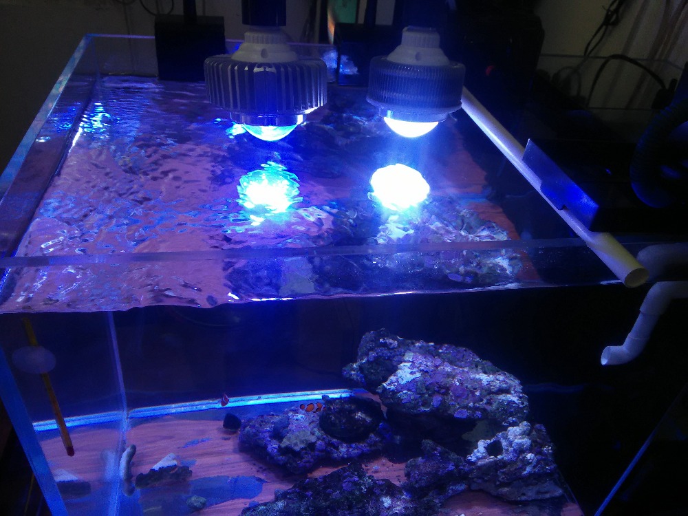 定制10w水族灯珊瑚灯草缸彩灯led grow light fish tank lamp