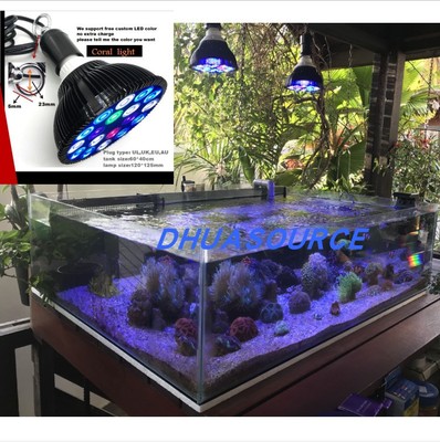 led灯海淡水鱼补光生长珊瑚