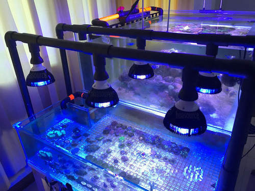 led Aquarium Light PAR38 bulb Grow Plant Lamp for reef