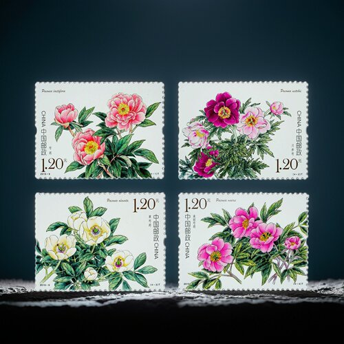 2019-9芍药复古中国风邮票套票