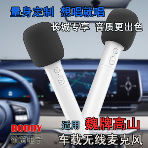 适用魏牌高山无线话筒 魏牌高山无线麦克风 适用魏牌高山雷石KTV