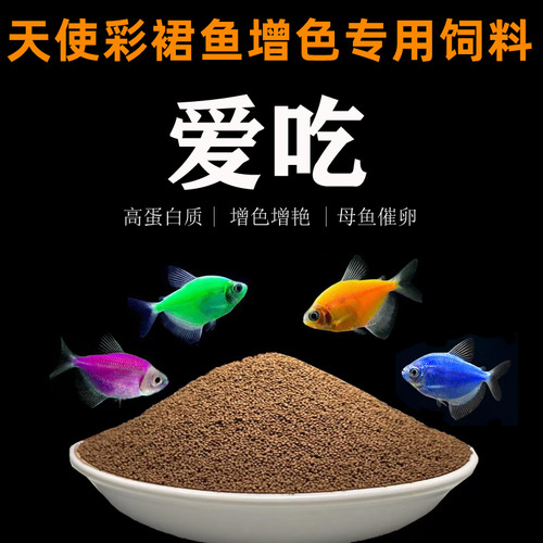 天使鱼彩裙鱼鱼食专用饲料高蛋白增色小颗粒神仙鱼玛丽鱼观赏鱼食