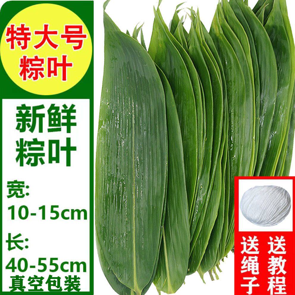 恩施包邮大粽叶端午节