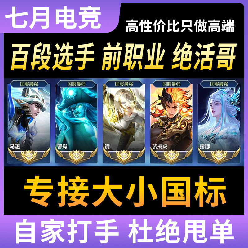 王者荣耀代打代练大小国标省标魔方巅峰赛排位战力线下上分工作室