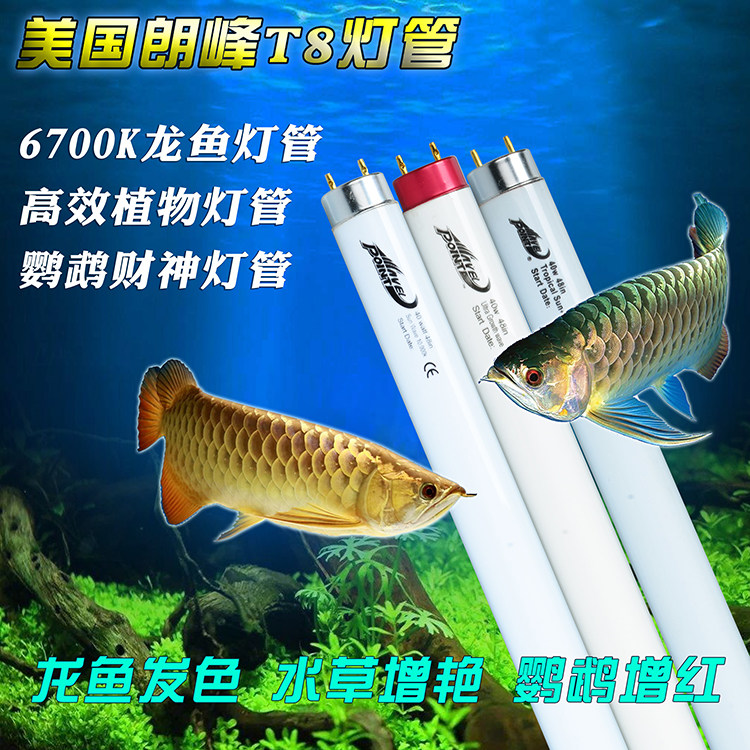 美国朗峰浪峰T8灯管水草灯管鹦鹉光合之星灯管6700K龙鱼灯管T8
