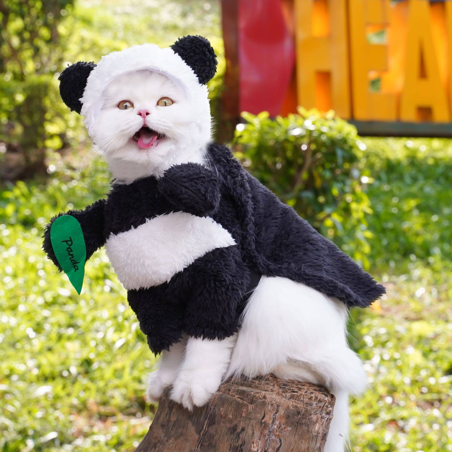宠物服饰搞怪站立变身装熊猫装搞狗宠物服装/雨衣