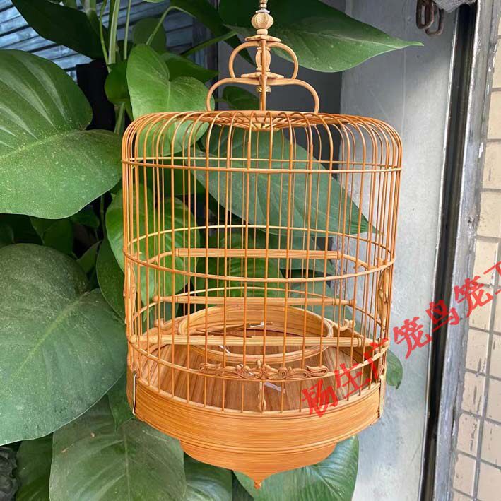 广笼绣眼金青芙蓉小鸟水滴脚方式