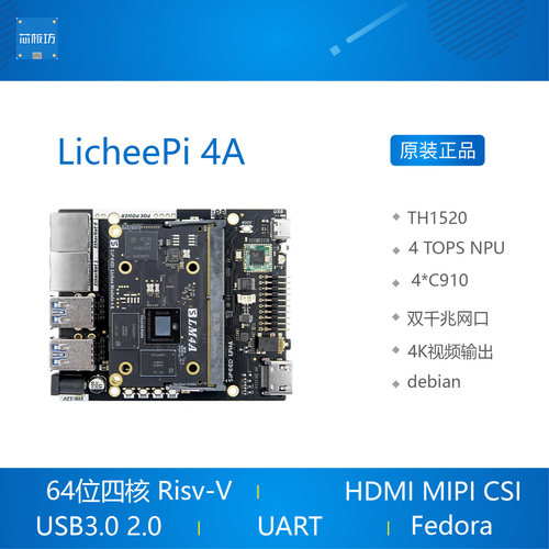 LicheP4ARs-VTH1LicheP4A