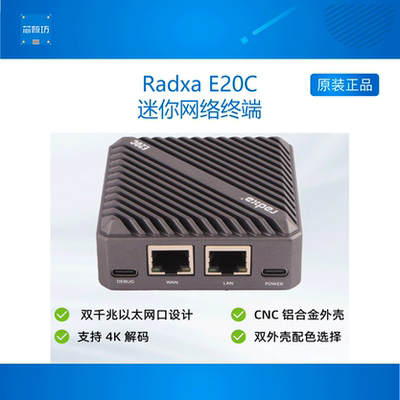 瑞莎E20C网关终端radxa
