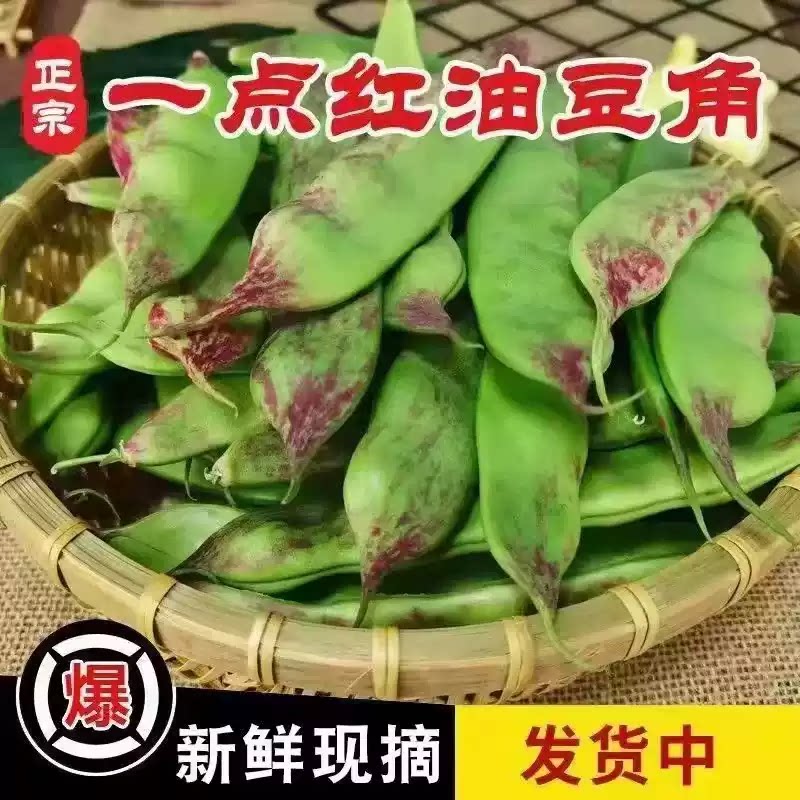 东北油豆角新鲜一点红纯油豆面豆开锅烂无丝蔬菜新鲜当季现摘宽豆图片