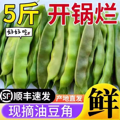 当季东北油豆角现摘新鲜蔬菜5斤一点红无筋宽豆九月青黑龙江油豆