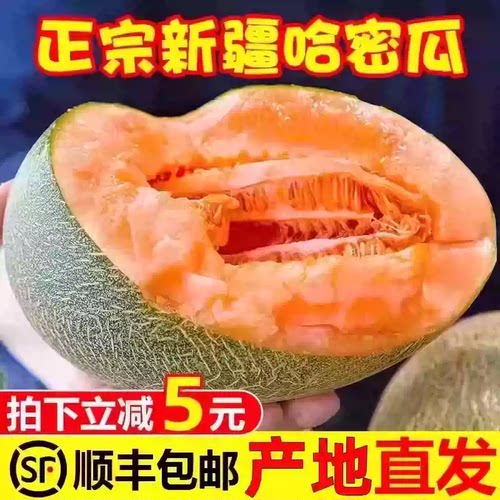 正宗新疆哈密瓜吐鲁番西州蜜25号当应季新鲜水果网纹甜瓜整箱包邮