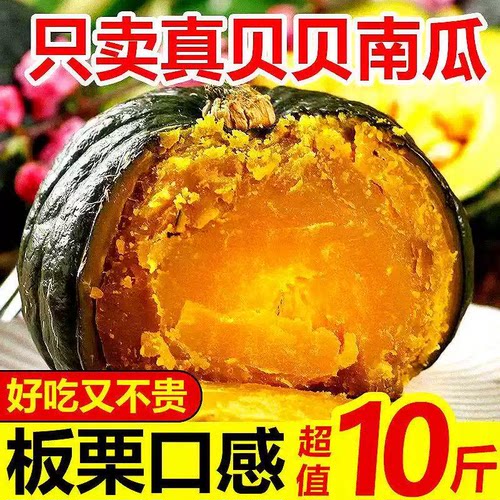 山东正宗贝贝南瓜板栗小南瓜孕妇婴儿辅食老南瓜惠和一号粉糯香甜