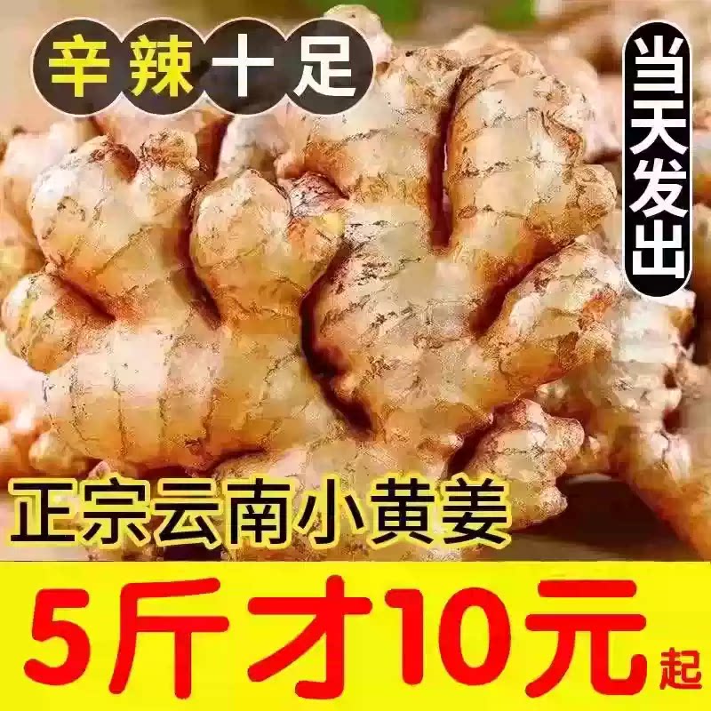 新鲜老姜正宗生姜5/9斤现挖云南高山小黄姜月子农家整箱包邮蔬菜