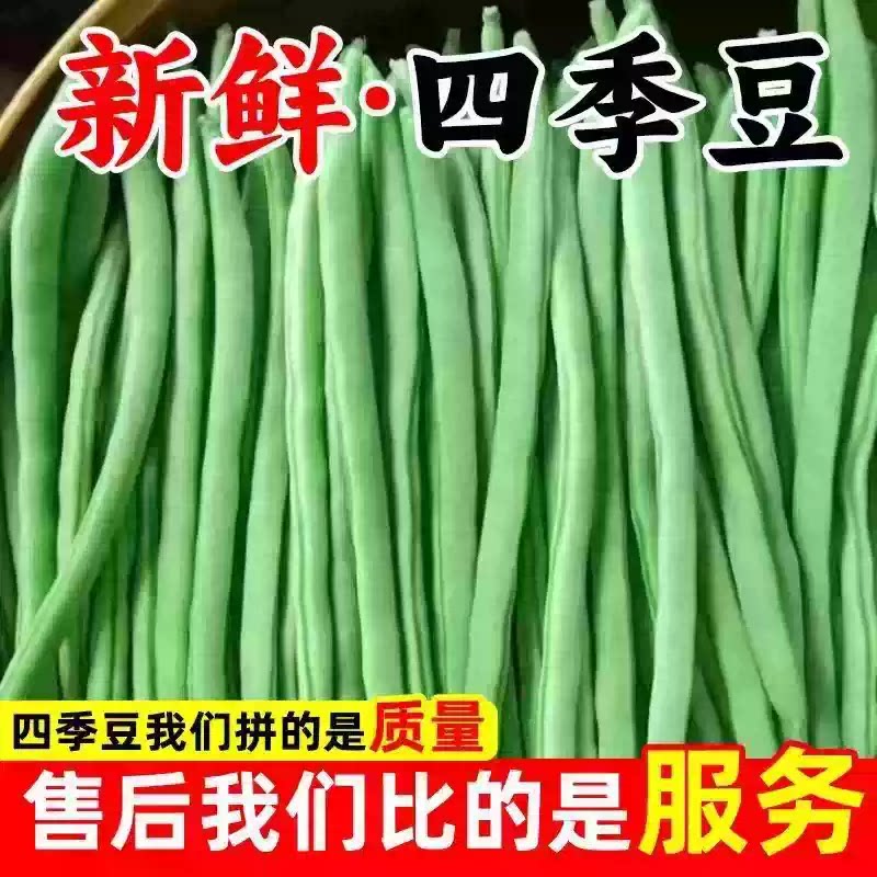 云南现摘四季豆5斤农家当季新鲜芸豆蔬菜无筋扁青刀豆角整箱包邮
