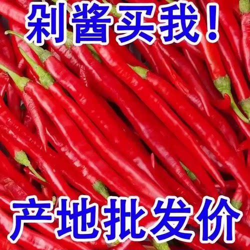 新鲜红线椒红二荆条红辣椒贵州红海椒红青椒新鲜蔬菜做剁椒辣椒酱