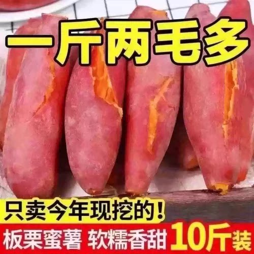 板栗蜜薯新鲜红薯沙地糖心地瓜非山东烟薯番薯25号烤红薯专用10斤