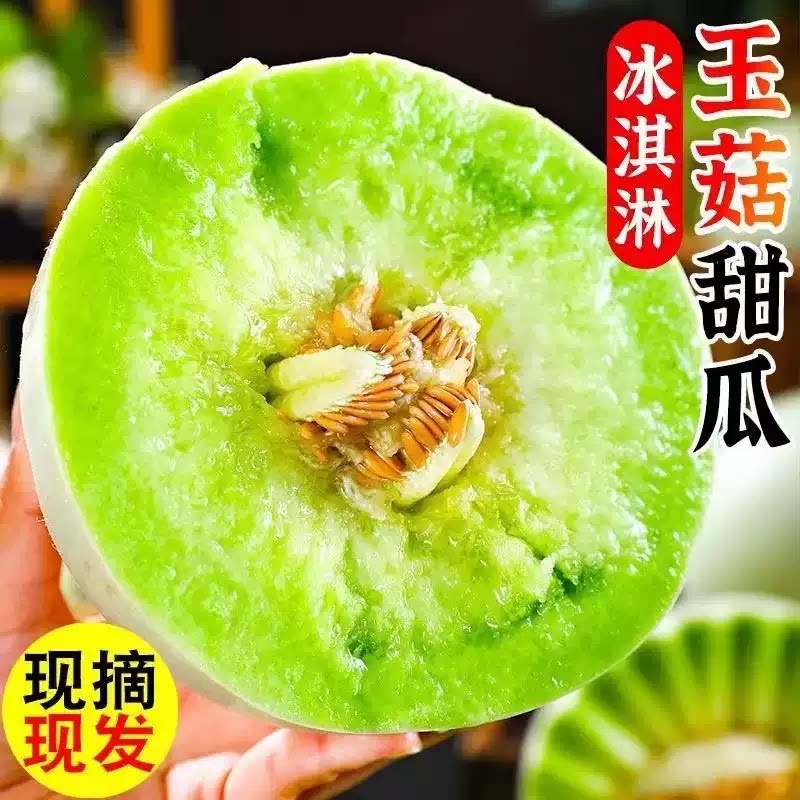 山东冰淇淋玉菇甜瓜9斤新鲜水果当季整箱包邮小香瓜蜜瓜现摘现发